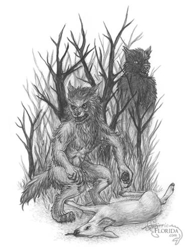 dogmen-illustraion-wm