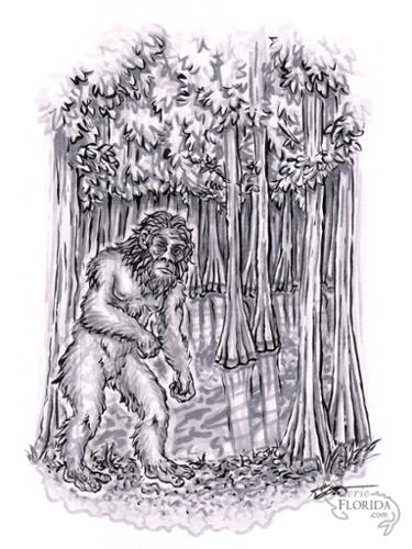 ghostskunkape-illustration-wm